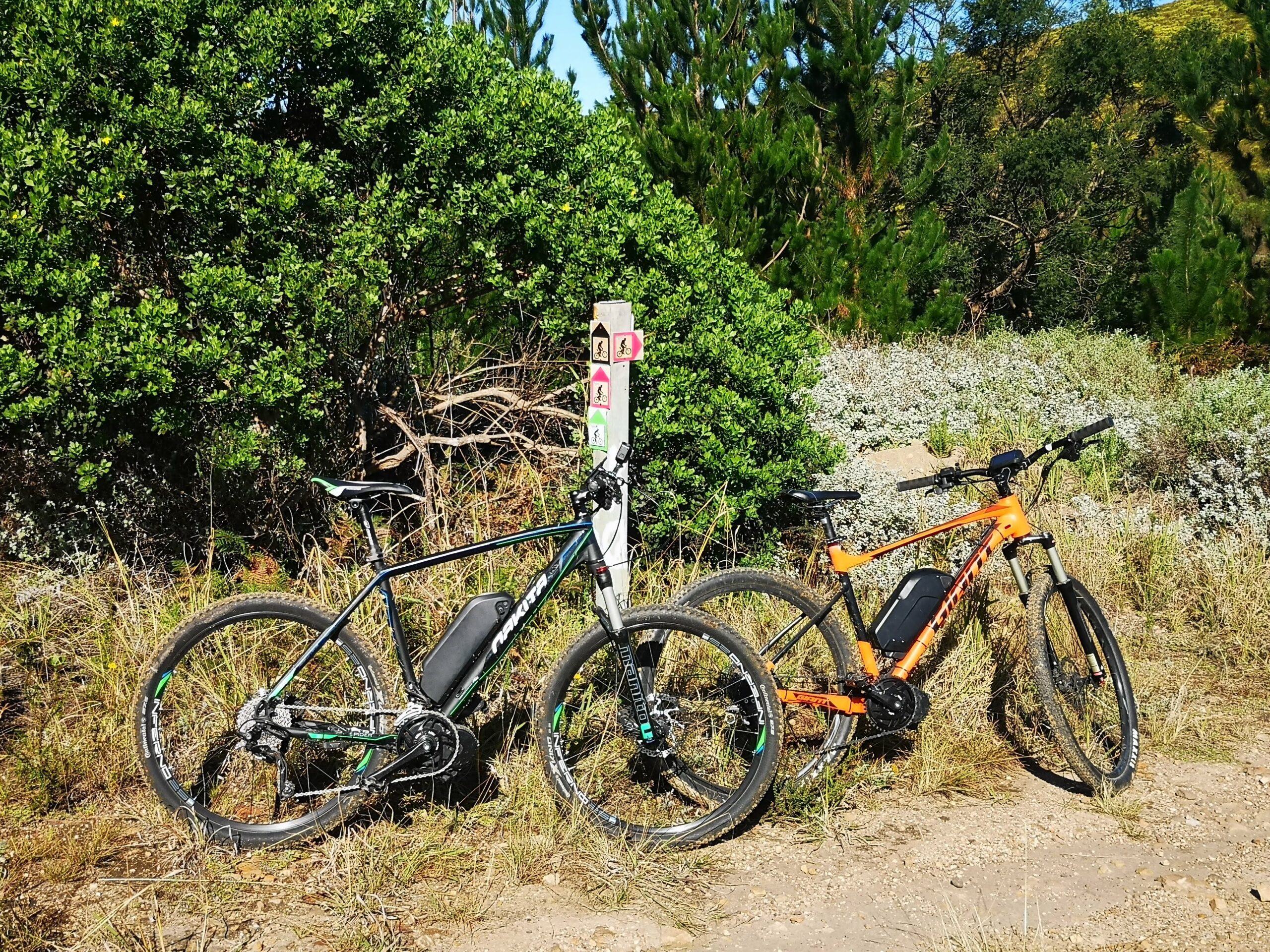 Bafang BBS02/B – Leistungsstark, Zuverlässig und Vielseitig