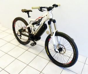 Umbau Bafang Bergamont 1000W